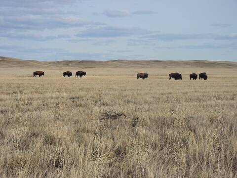 Grasslands National Park
